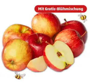 Rote Äpfel