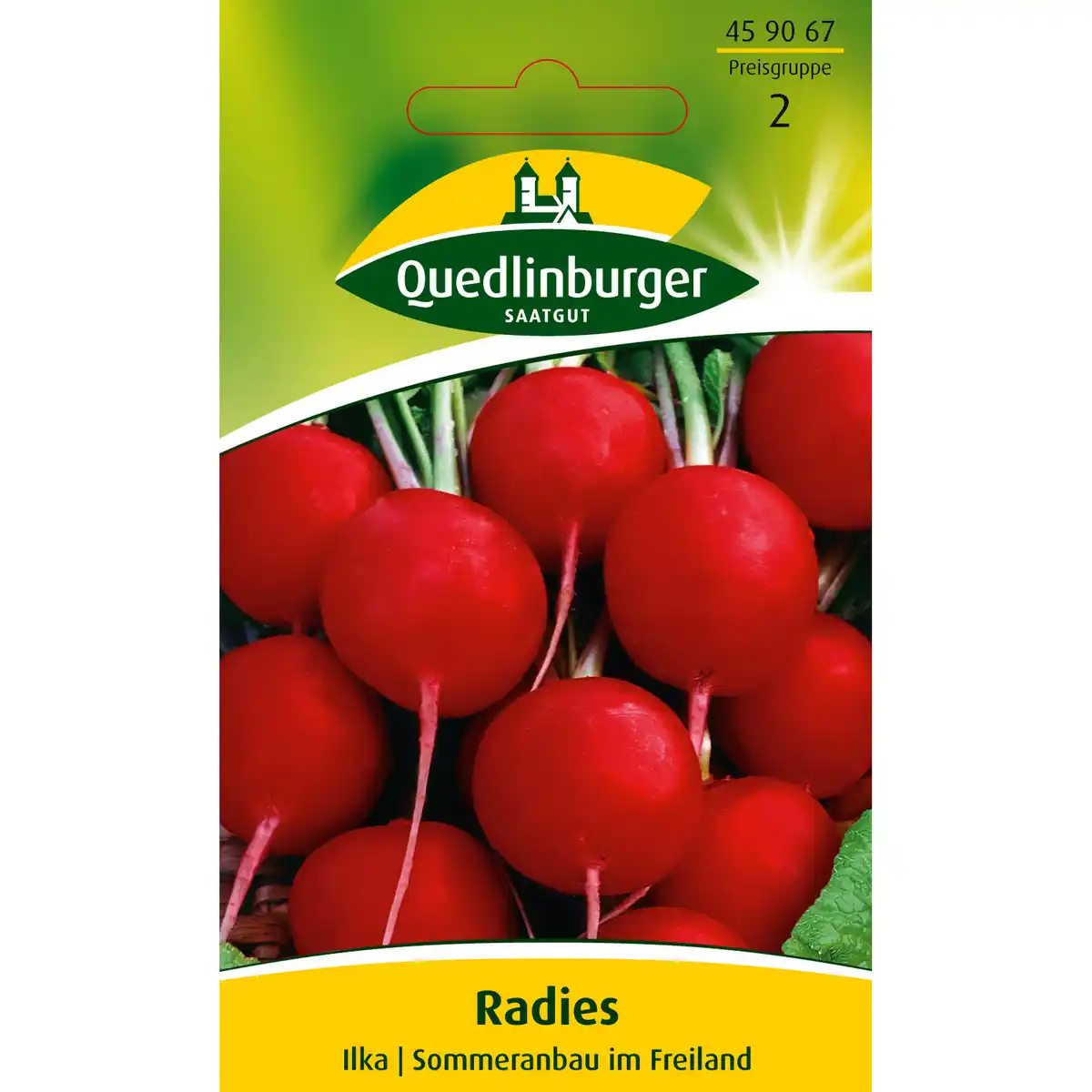Bild 1 von Quedlinburger Radies 'Ilka'