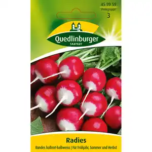 Quedlinburger Radies 'Rundes halbrot-halbweiss'