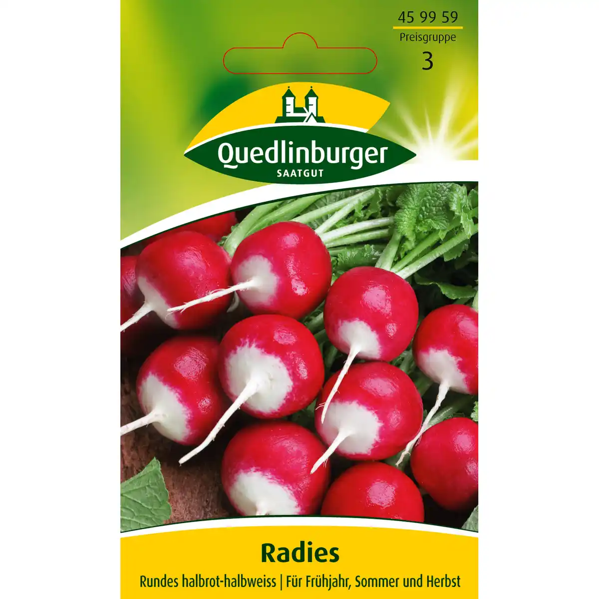 Bild 1 von Quedlinburger Radies 'Rundes halbrot-halbweiss'