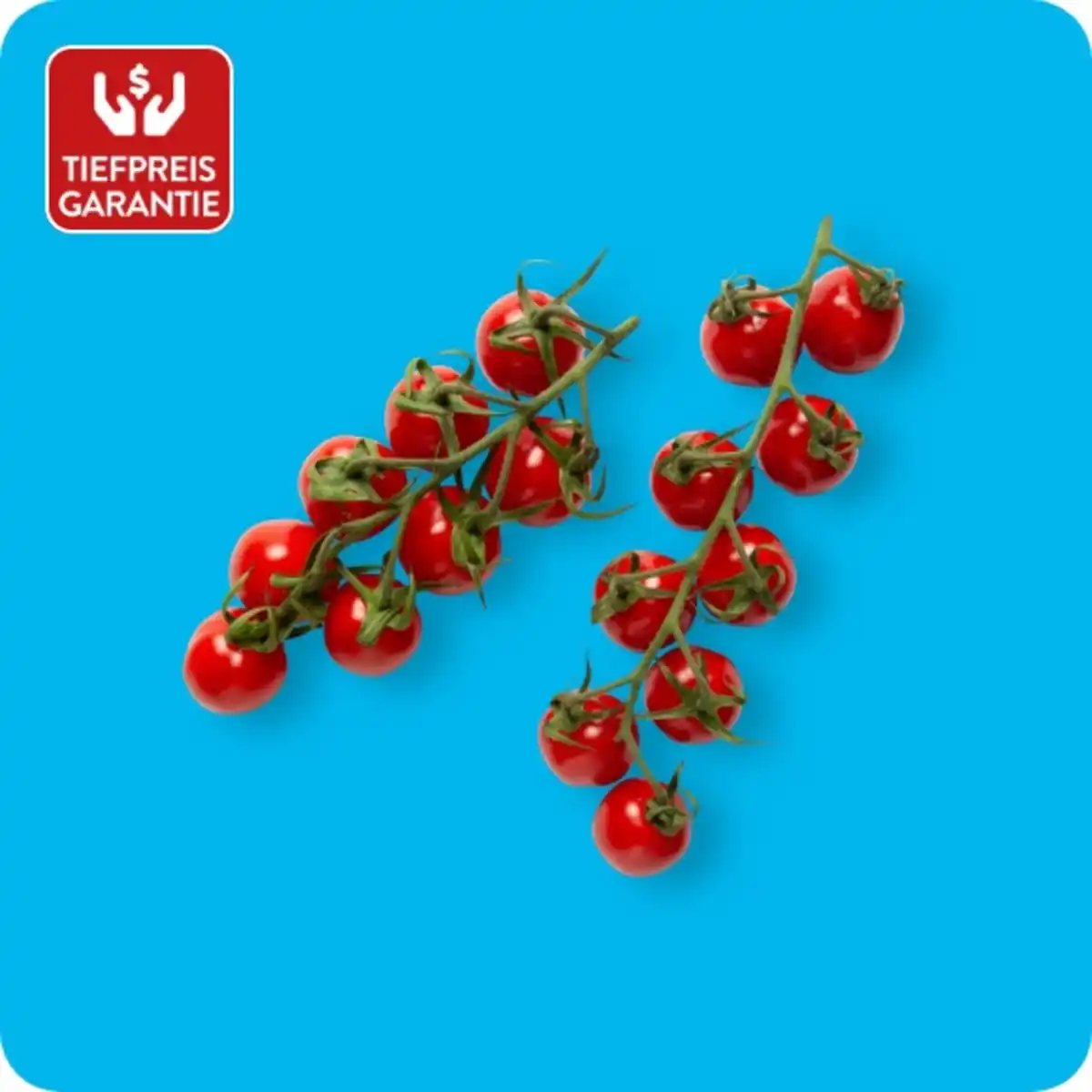 Bild 1 von   Mini Romarispentomaten, Ursprung: siehe Etikett