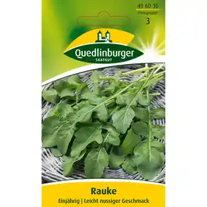 Quedlinburger Rauke einjährig