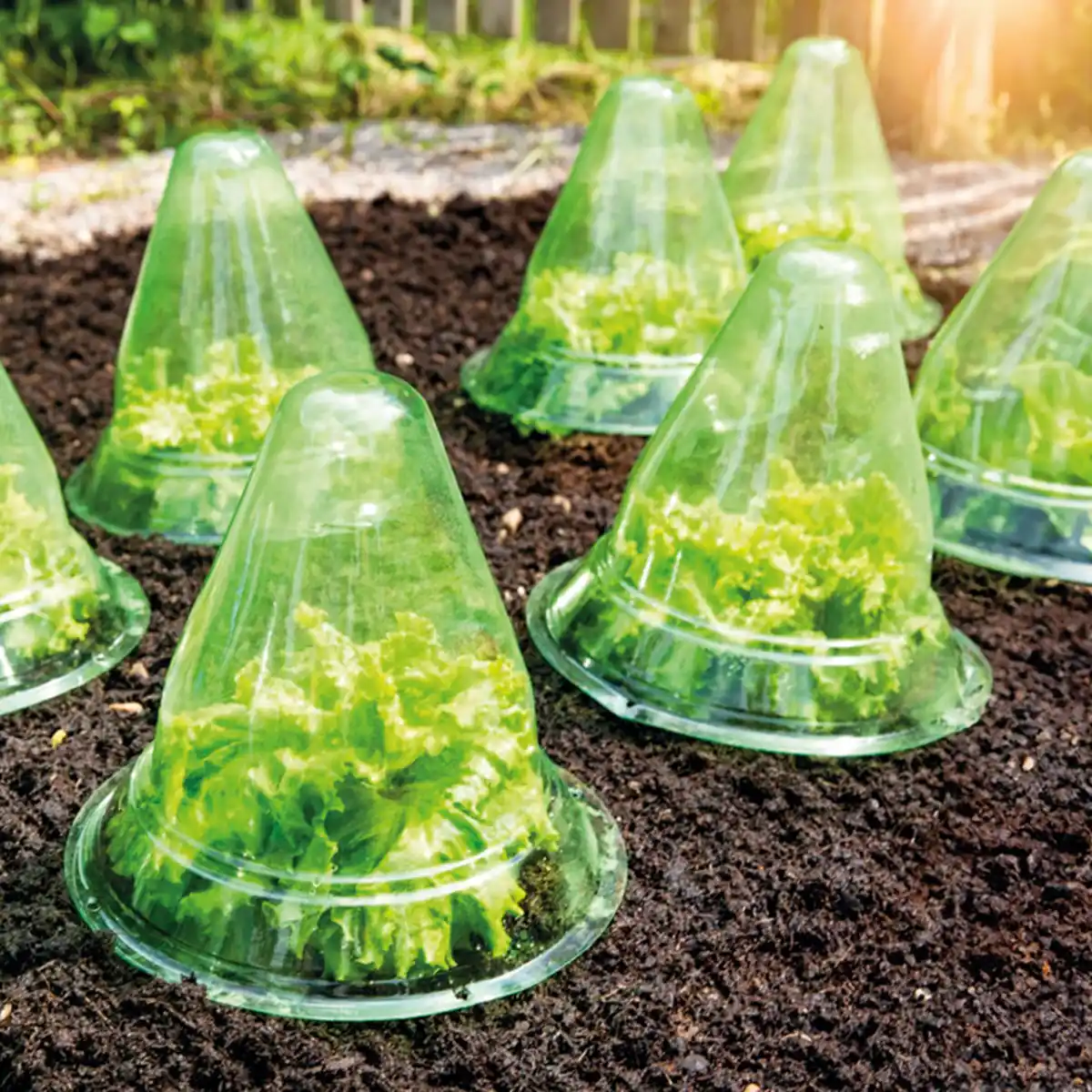 Bild 1 von Powertec Garden Pflanzhut 10er-Set