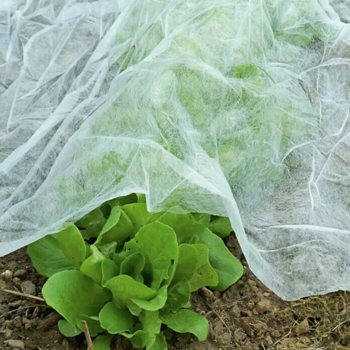 Bild 1 von Powertec Garden Gartenvlies