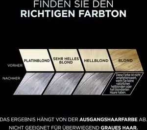 L’Oréal Paris Préférence Vivid Colors 10.112 Silver Grey