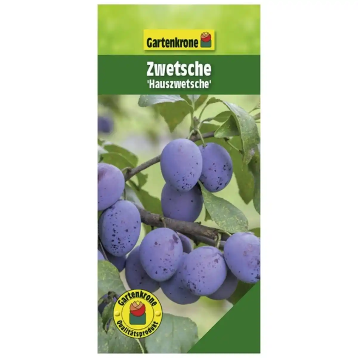 Bild 1 von Gartenkrone Hauszwetsche, Prunus domestica, Früchte: süß-säuerlich