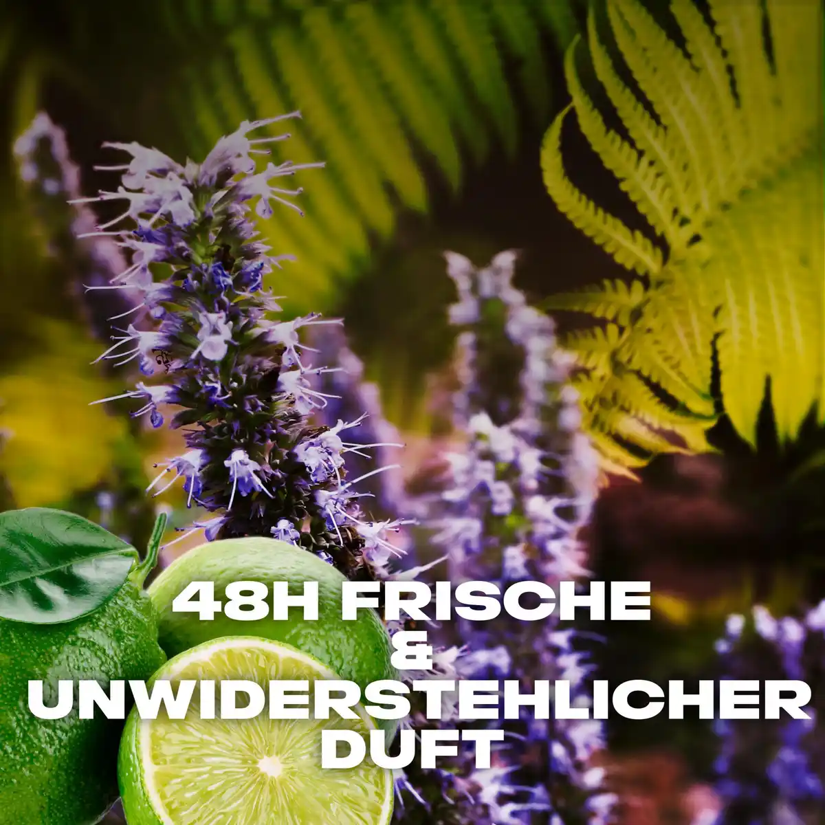 Bild 4 von AXE Bodyspray Moschus, 150 ml