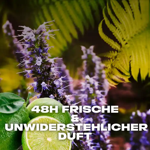 Bild 4 von AXE Bodyspray Moschus, 150 ml