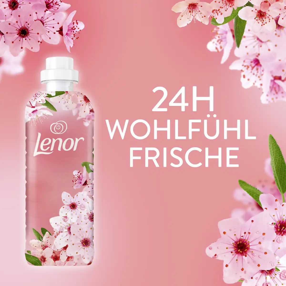Bild 3 von Lenor Weichspüler Konzentrat Kirschblüte & Edlesalbei 59 WL