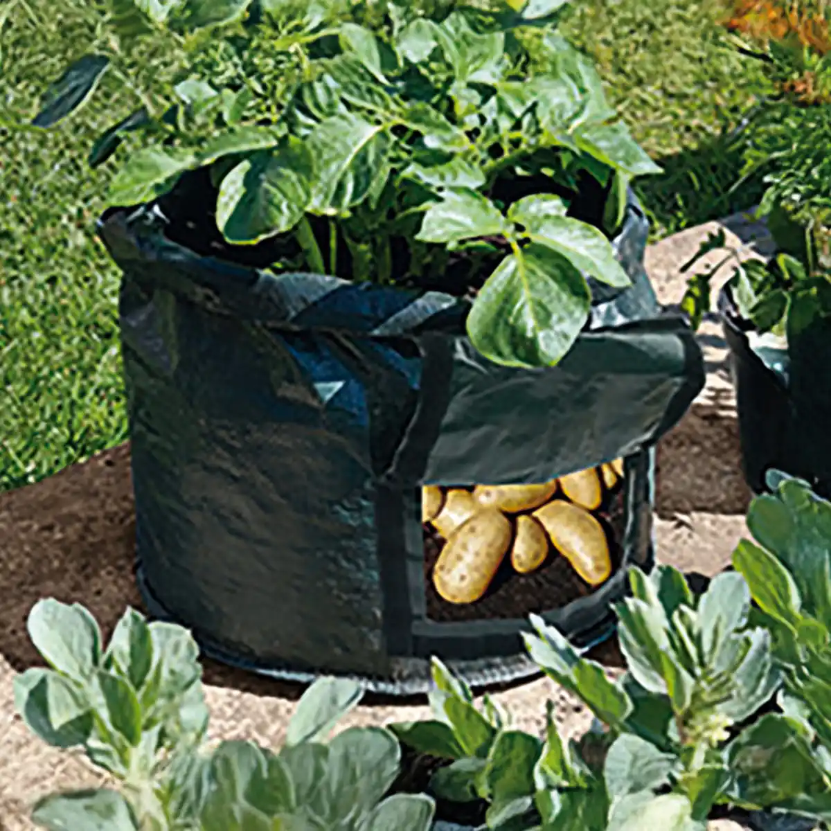 Bild 1 von Powertec Garden Pflanzbeutel