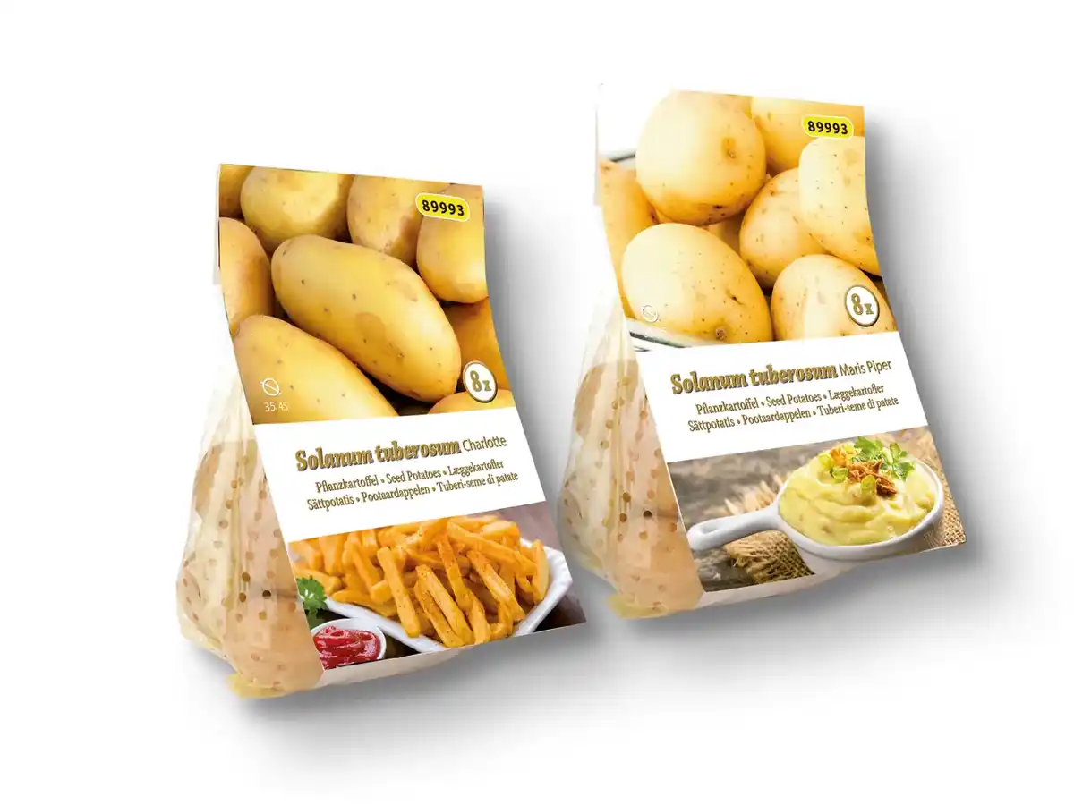 Bild 1 von Pflanzkartoffeln