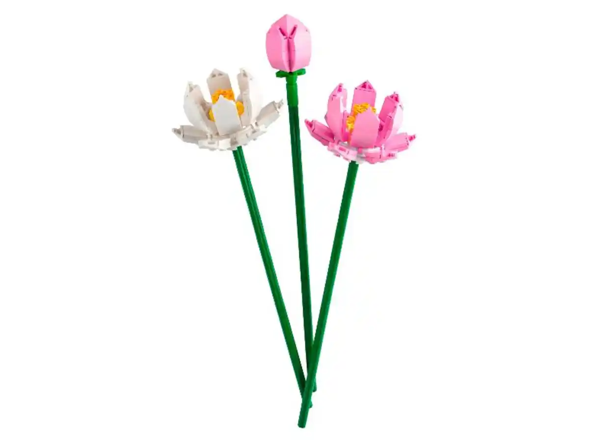 Bild 2 von LEGO® Creator 40647 »Lotusblumen«