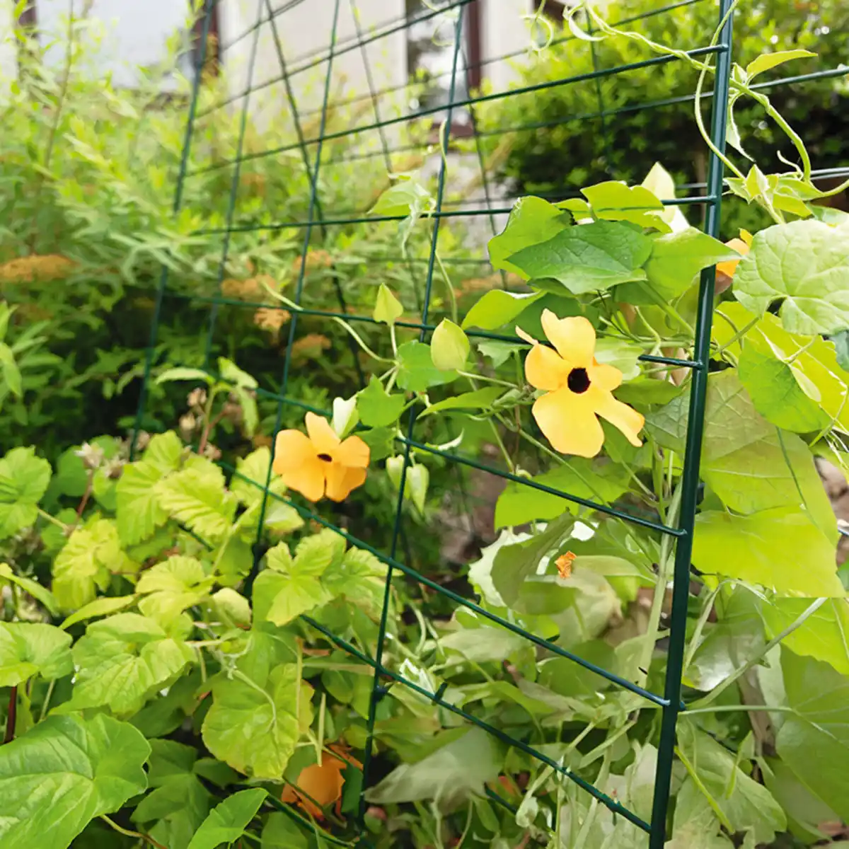 Bild 1 von Powertec Garden Rankgitter 2tlg.