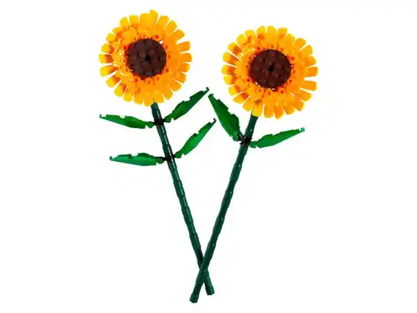 Bild 2 von LEGO® Creator 40524 »Sonnenblumen«