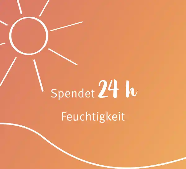 Bild 3 von sunozon Classic Sonnenspray LSF 50+, 200 ml