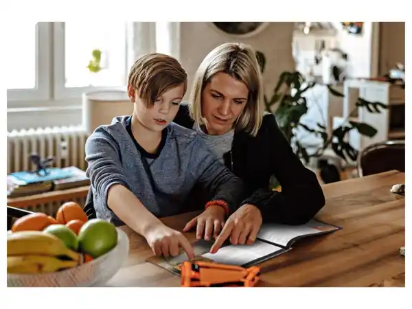 Bild 3 von Höhle der Löwen Baustein-Set »cbionic«