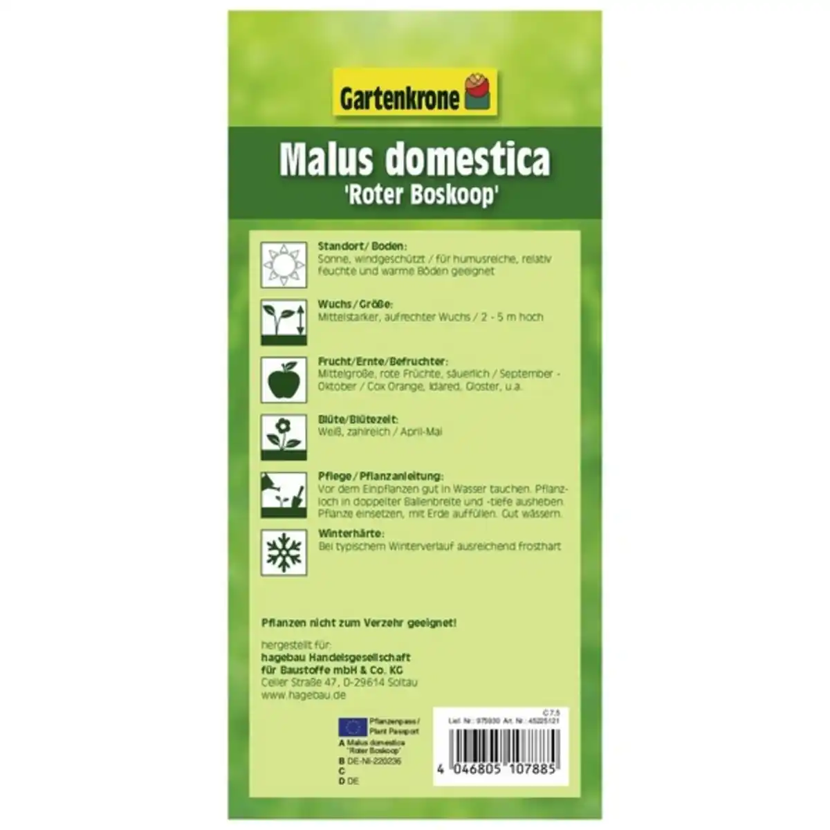 Bild 2 von Gartenkrone Obstbaum, Früchte: sauer, Topfgröße C 7,5