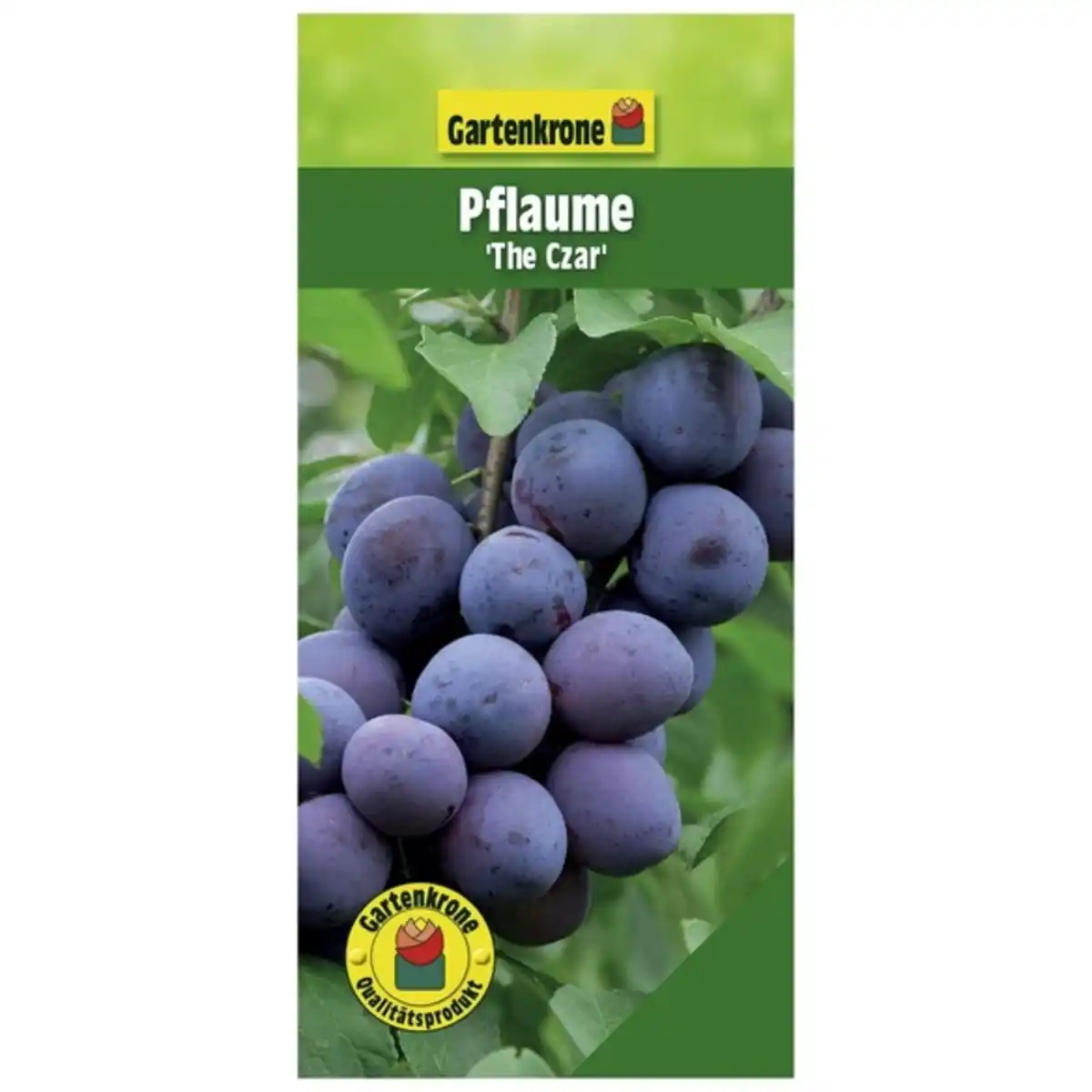 Bild 3 von Gartenkrone Pflaume, Prunus domestica »The Czar«, Früchte: süß-säuerlich