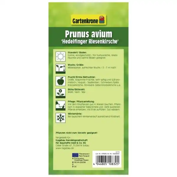 Bild 2 von Gartenkrone Süßkirsche, Prunus avium »Hedelfinger Riesenkirsche«, Früchte: süß
