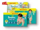 Bild 1 von Pampers Baby-Dry/Premium Protection