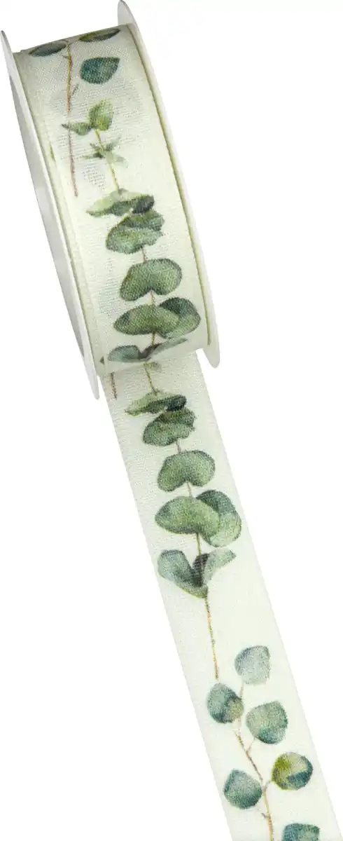 Bild 2 von DEKOWELT LAVPKT GESCHENKBAND EUKALYPTUS 25MM/3m, 3 m