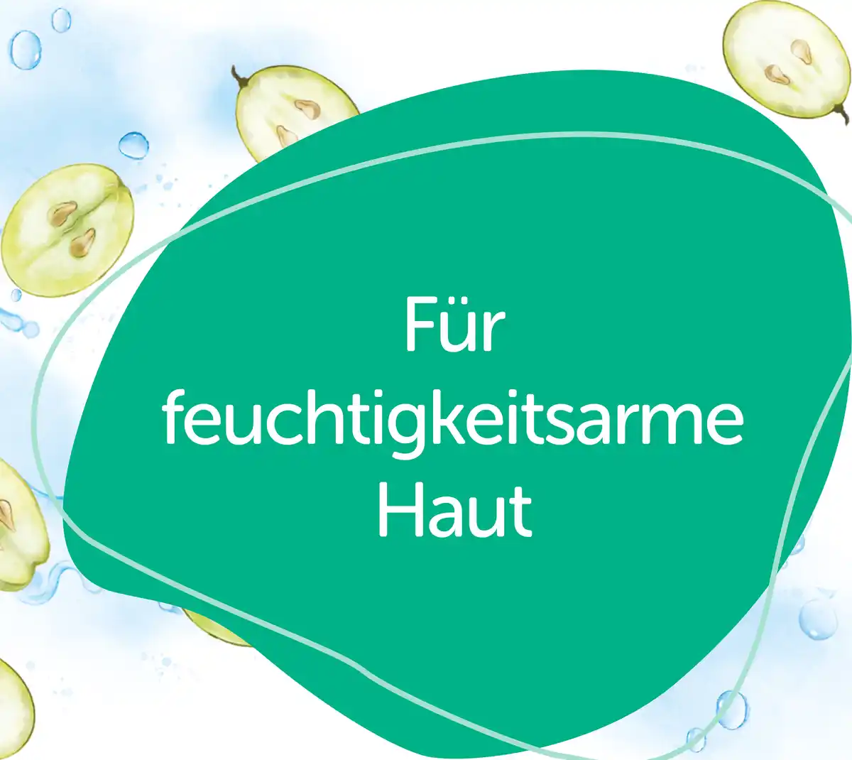 Bild 4 von Alterra NATURKOSMETIK Hyaluron Ampullenkur Konzentrat, 7 ml 7x 1 ml