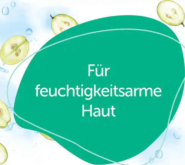 Bild 4 von Alterra NATURKOSMETIK Hyaluron Ampullenkur Konzentrat, 7 ml 7x 1 ml