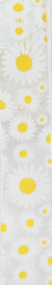 Bild 1 von DEKOWELT Geschenkband Margeriten, 3 m