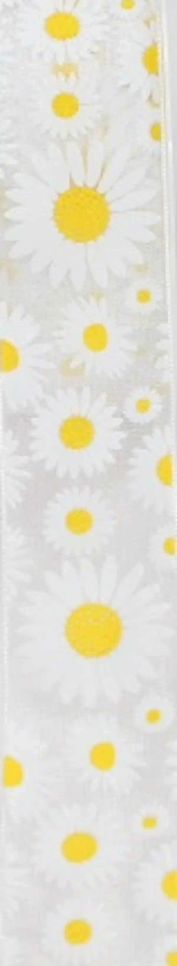 Bild 1 von DEKOWELT Geschenkband Margeriten, 3 m