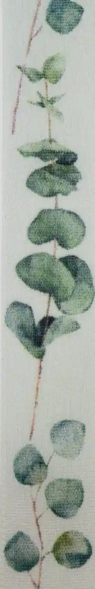 Bild 1 von DEKOWELT LAVPKT GESCHENKBAND EUKALYPTUS 25MM/3m, 3 m