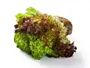 Bild 1 von Multicolor Salat mit Wurzeln