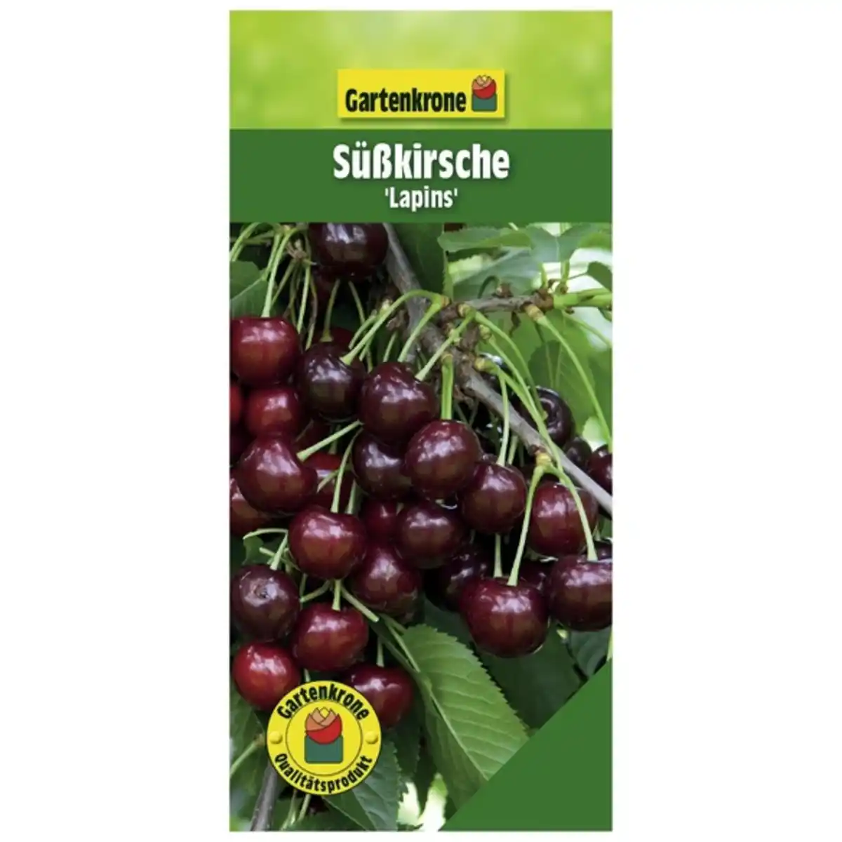 Bild 1 von Gartenkrone Süßkirsche, Prunus avium »Lapins«, Früchte: süß