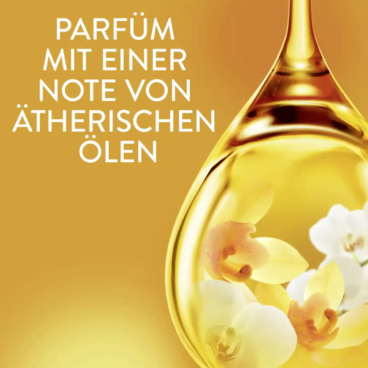 Bild 4 von Lenor Weichspüler Konzentrat Goldene Orchidee 59 WL