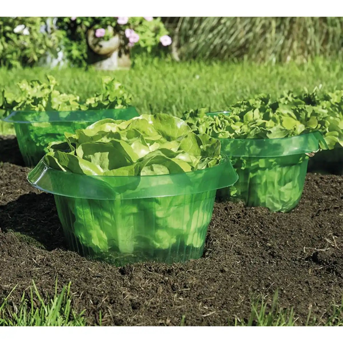 Bild 1 von Powertec Garden Schneckenschutzringe 6er-Set