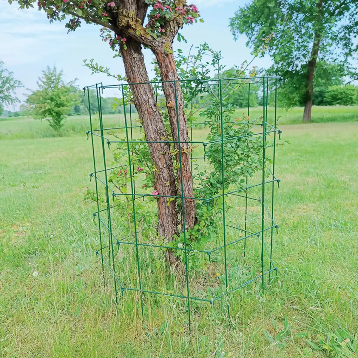 Bild 1 von Powertec Garden Rankspalier 5tlg.