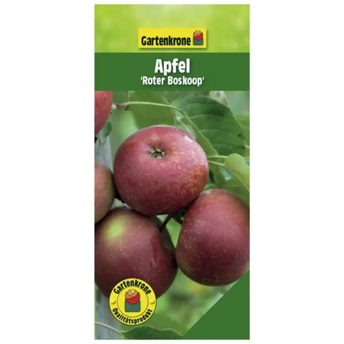 Bild 1 von Gartenkrone Obstbaum, Früchte: sauer, Topfgröße C 7,5