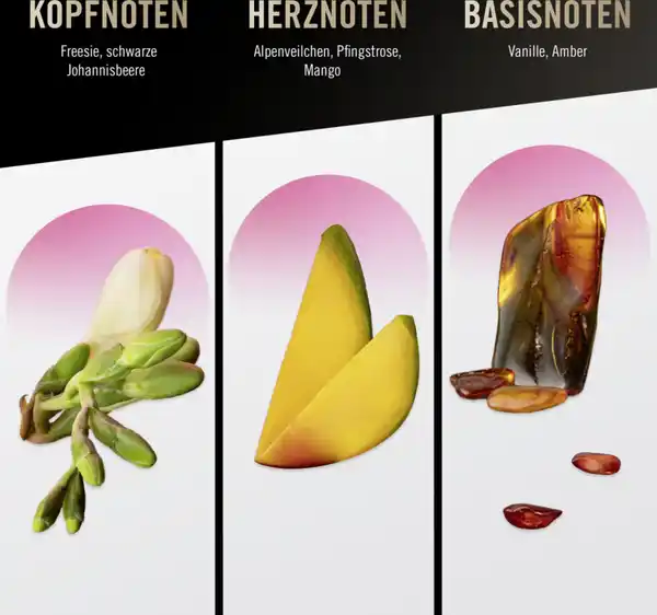 Bild 4 von bruno banani Pure Woman cheeky cassis, Body Splash 250 ml