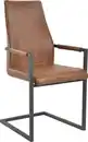 Bild 1 von SalesFever Freischwinger (Set, 2 St), in moderner Vintage Optik