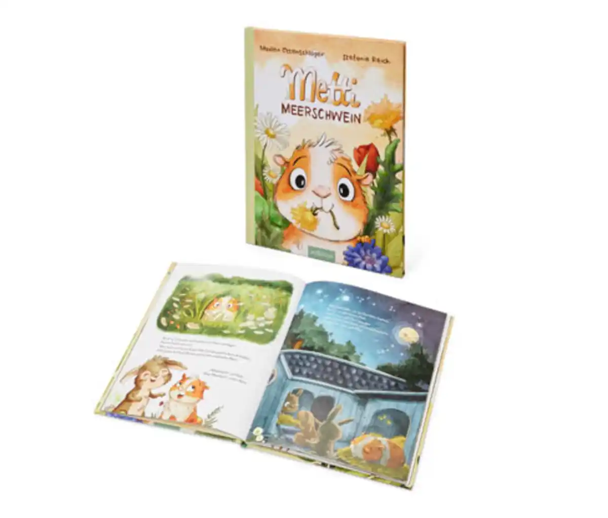 Bild 1 von Buch »Metti Meerschwein«