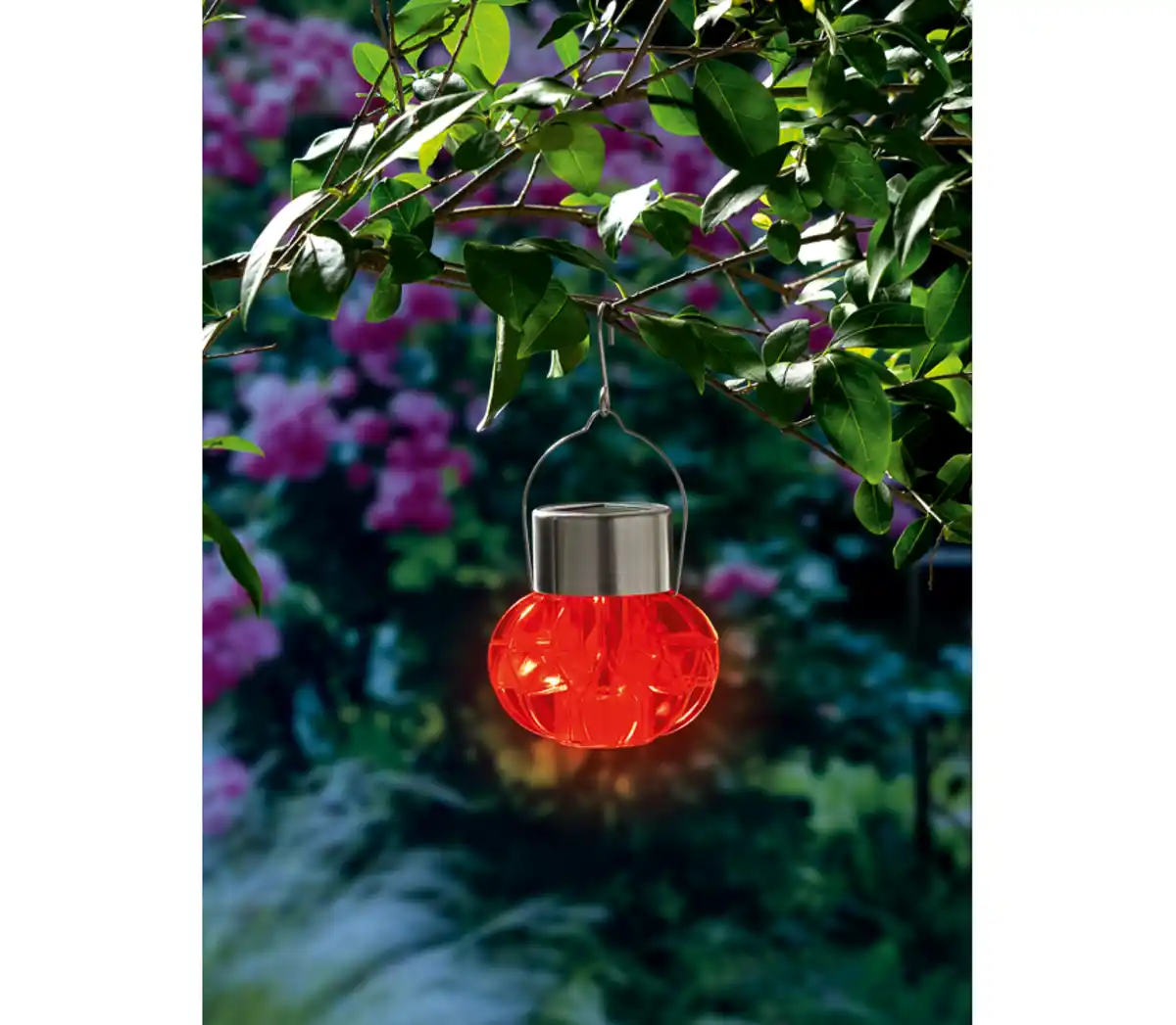 Bild 4 von COUNTRYSIDE® Deko-LED-Solarleuchte