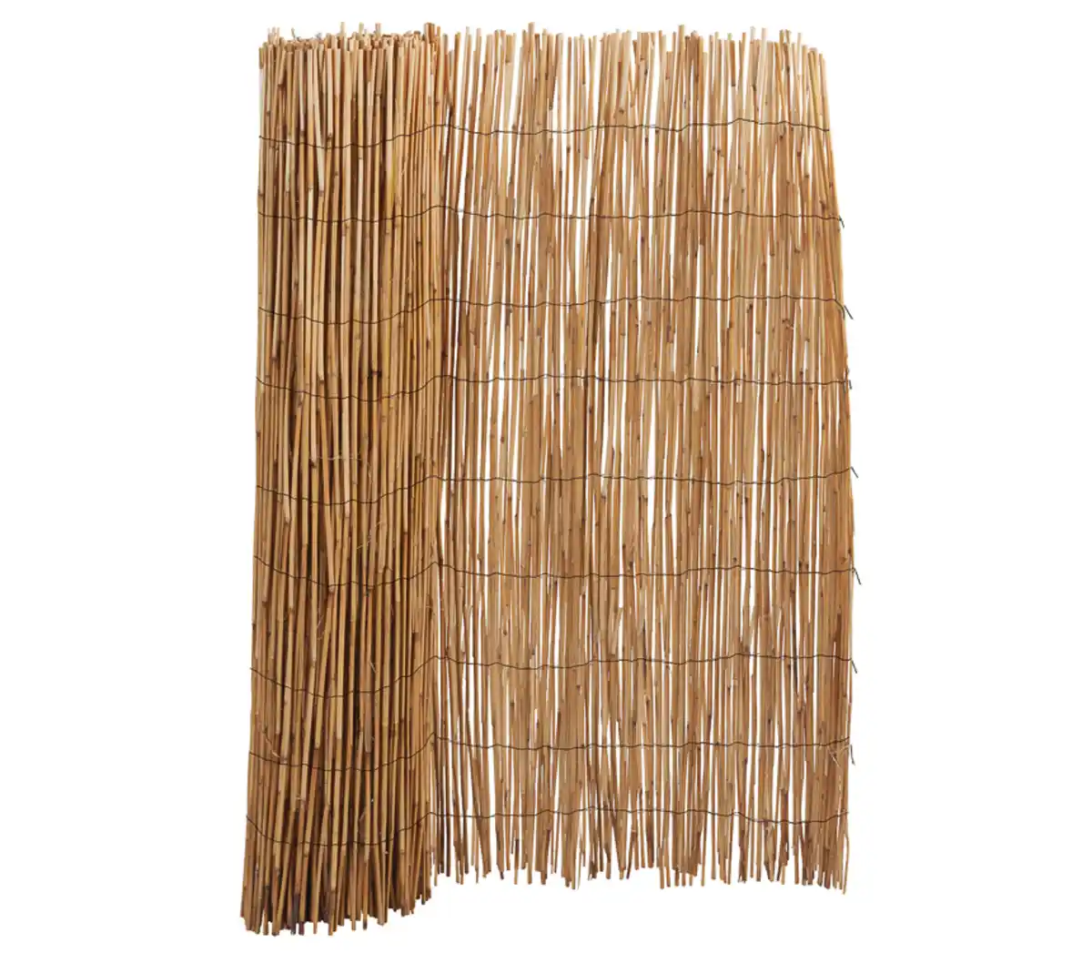 Bild 1 von COUNTRYSIDE® Schilf-Sichtschutzmatte