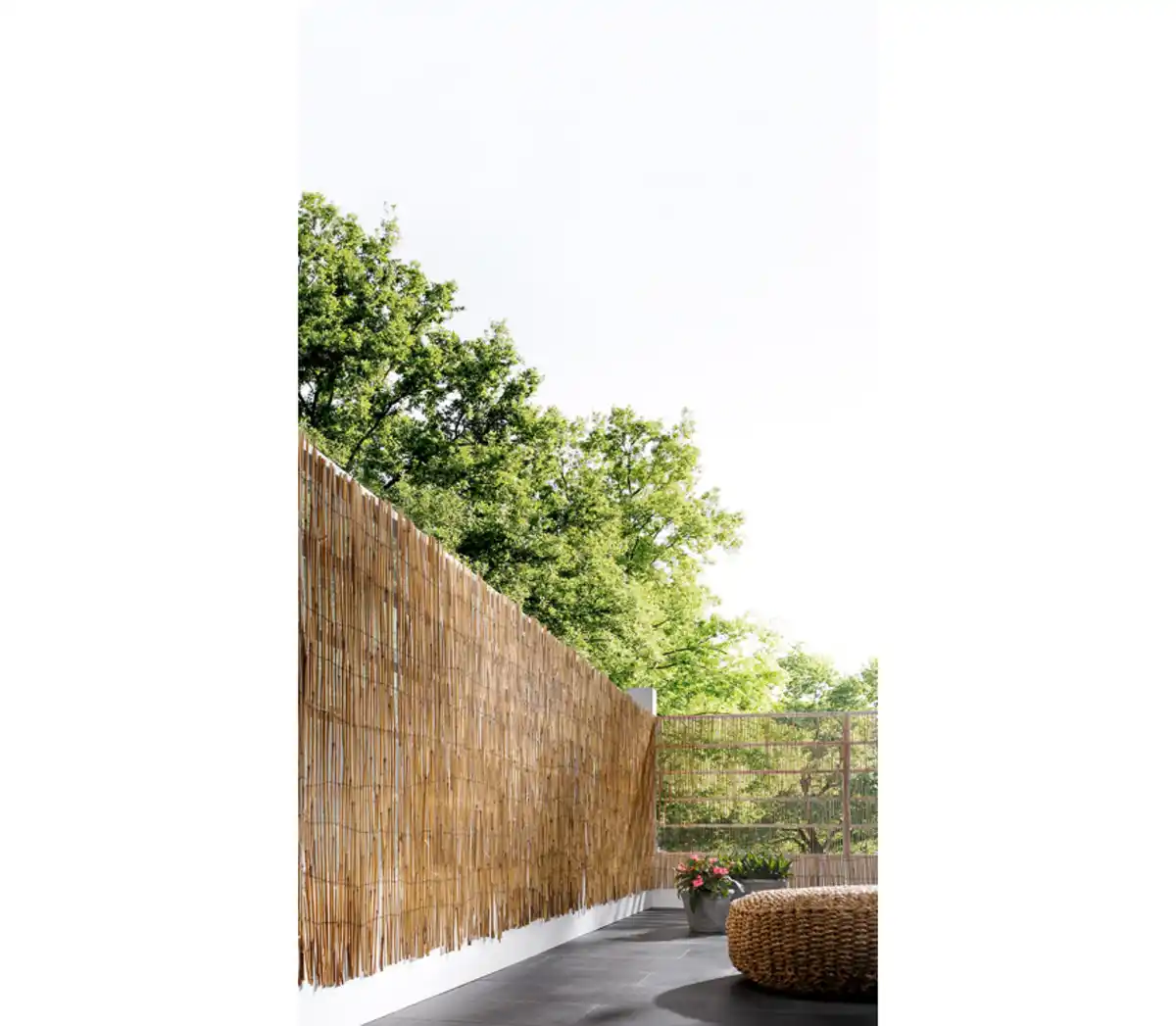 Bild 2 von COUNTRYSIDE® Schilf-Sichtschutzmatte