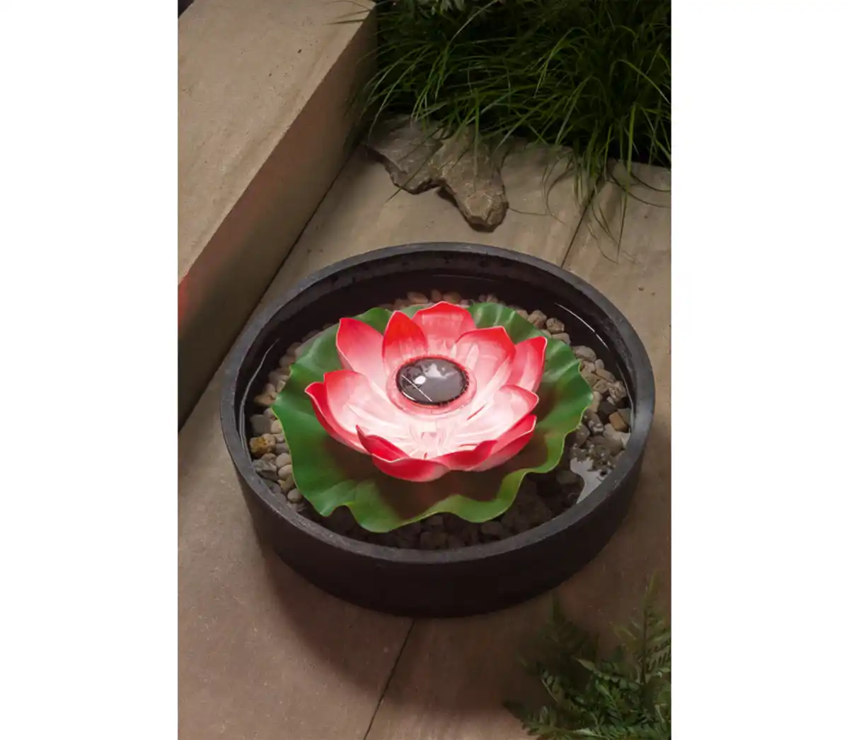 Bild 4 von COUNTRYSIDE® LED-Solar-Deko »Wasserlilie«