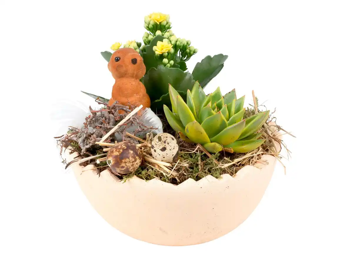 Bild 1 von Bepflanzte Eierschale Keramik