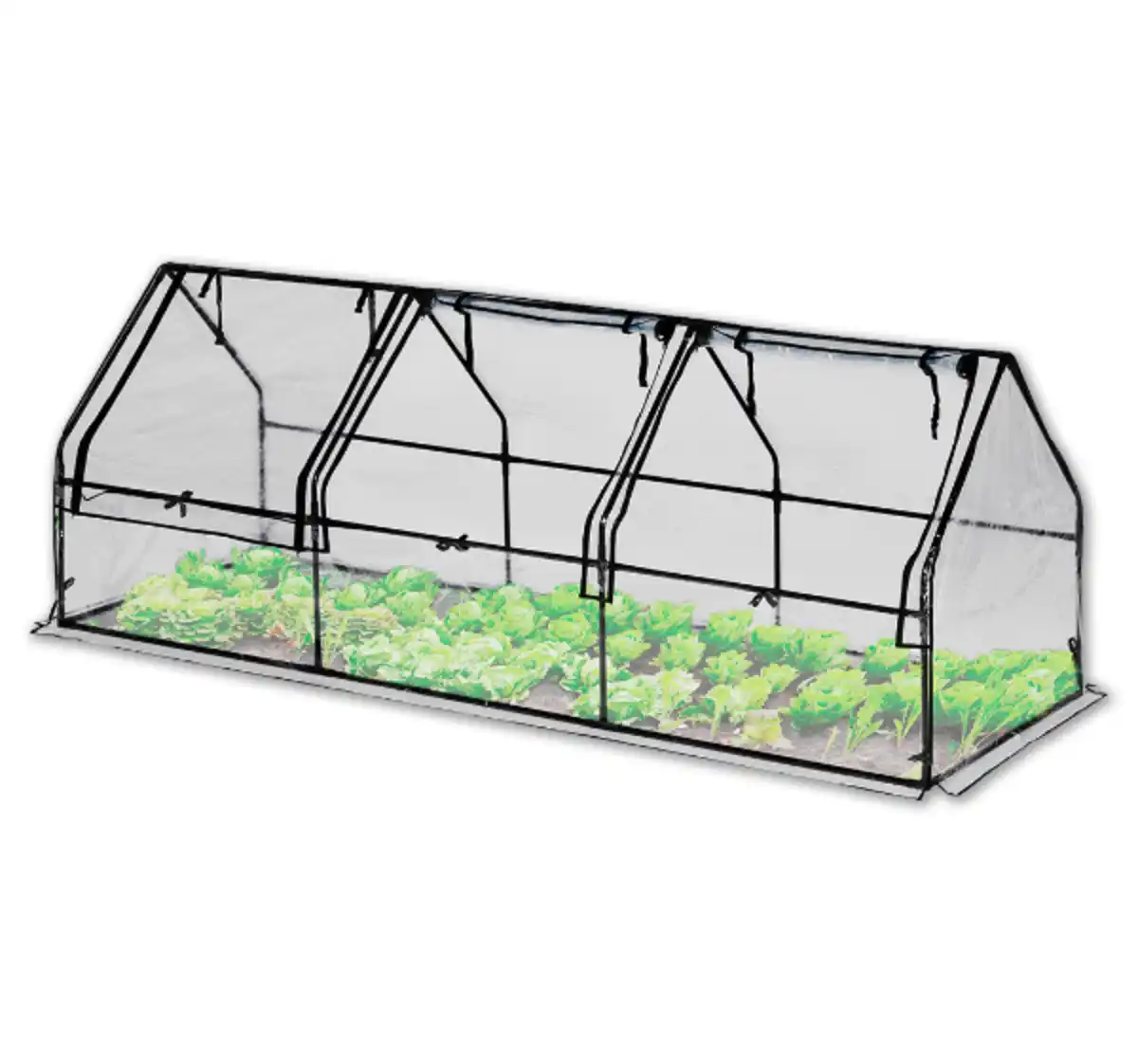 Bild 1 von FLORANA Frühbeet*