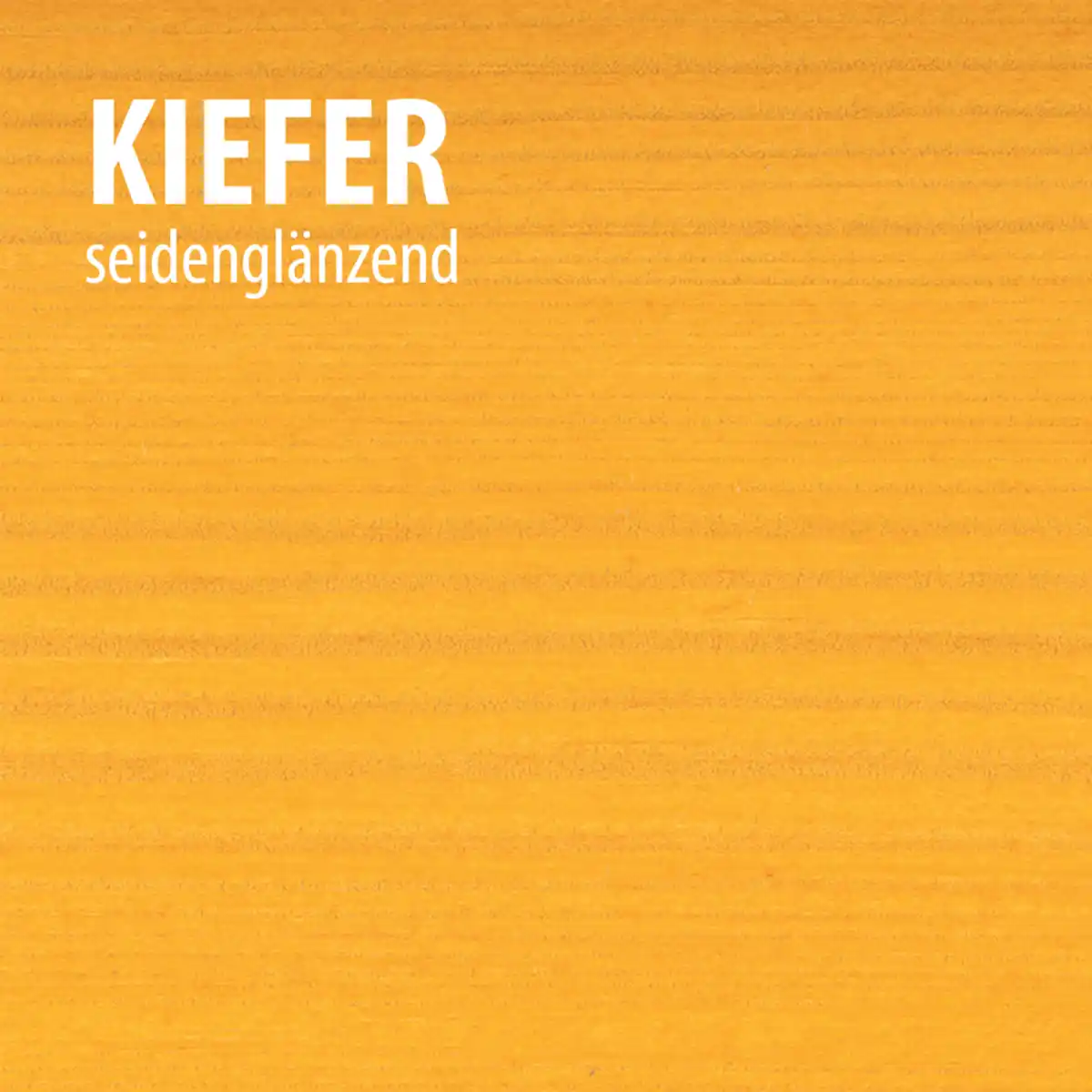 Bild 2 von Wetterschutz-Holzgel Kiefer