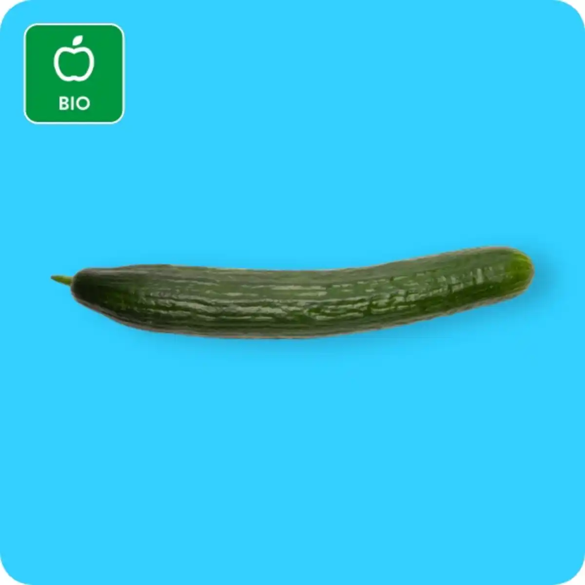 Bild 1 von   Bio Gurke, Ursprung: Spanien / Griechenland / Marokko