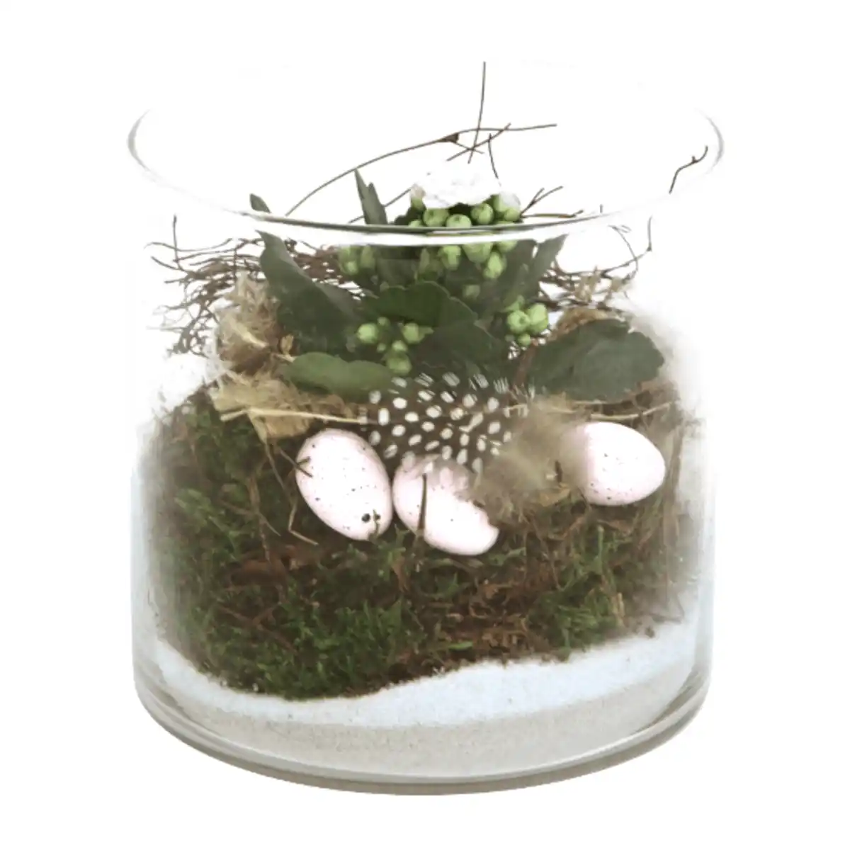 Bild 3 von GARDENLINE Bepflanztes Osterglas