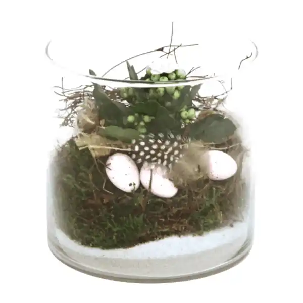Bild 3 von GARDENLINE Bepflanztes Osterglas