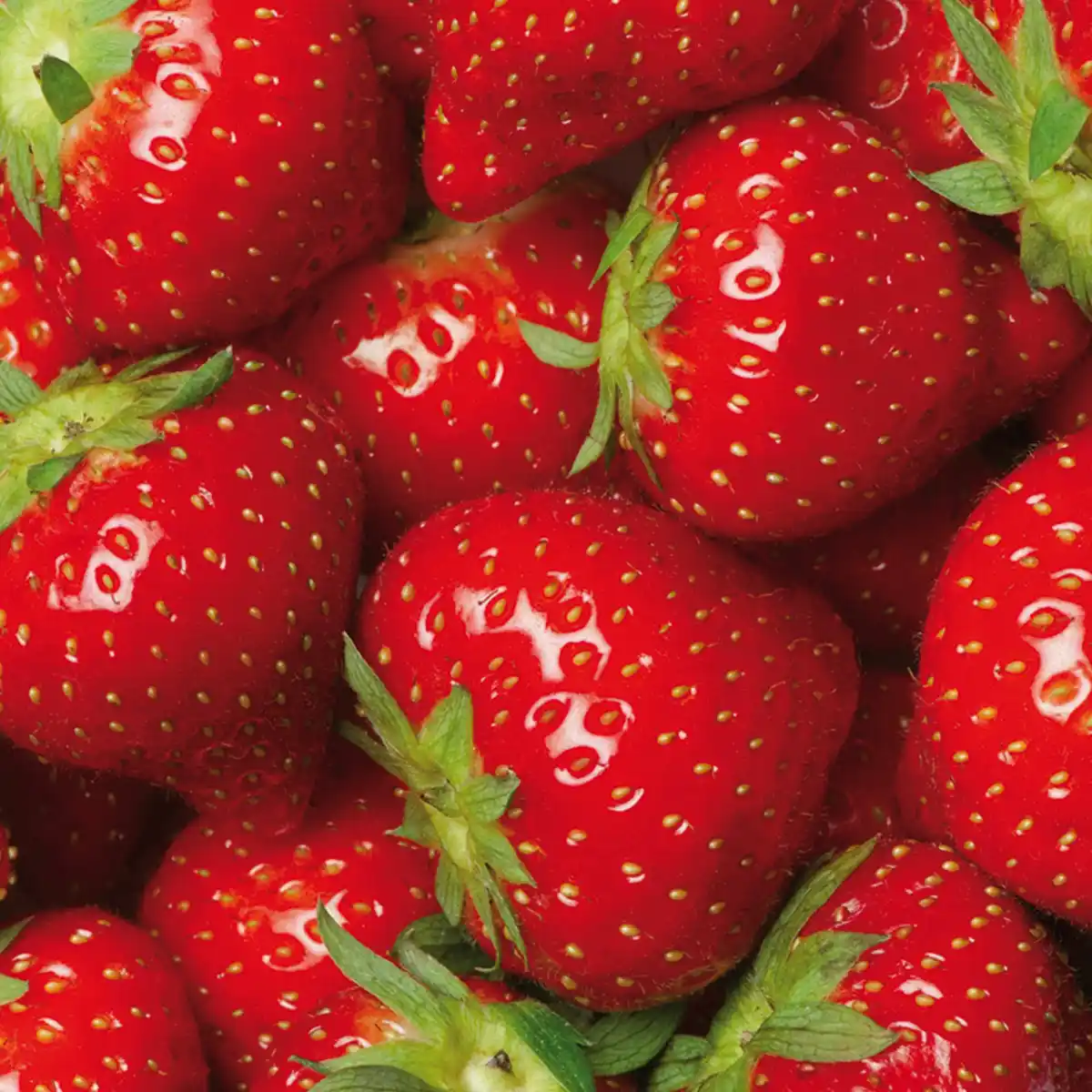 Bild 2 von River Valley Fresh Erdbeeren